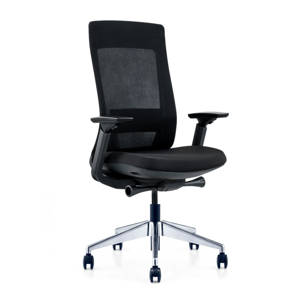 Ergonomic Chairs