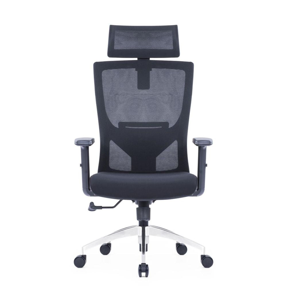 Ergonomic high back office chair with adjustable headrest, armrests, lumbar support, and aluminum base with black casters