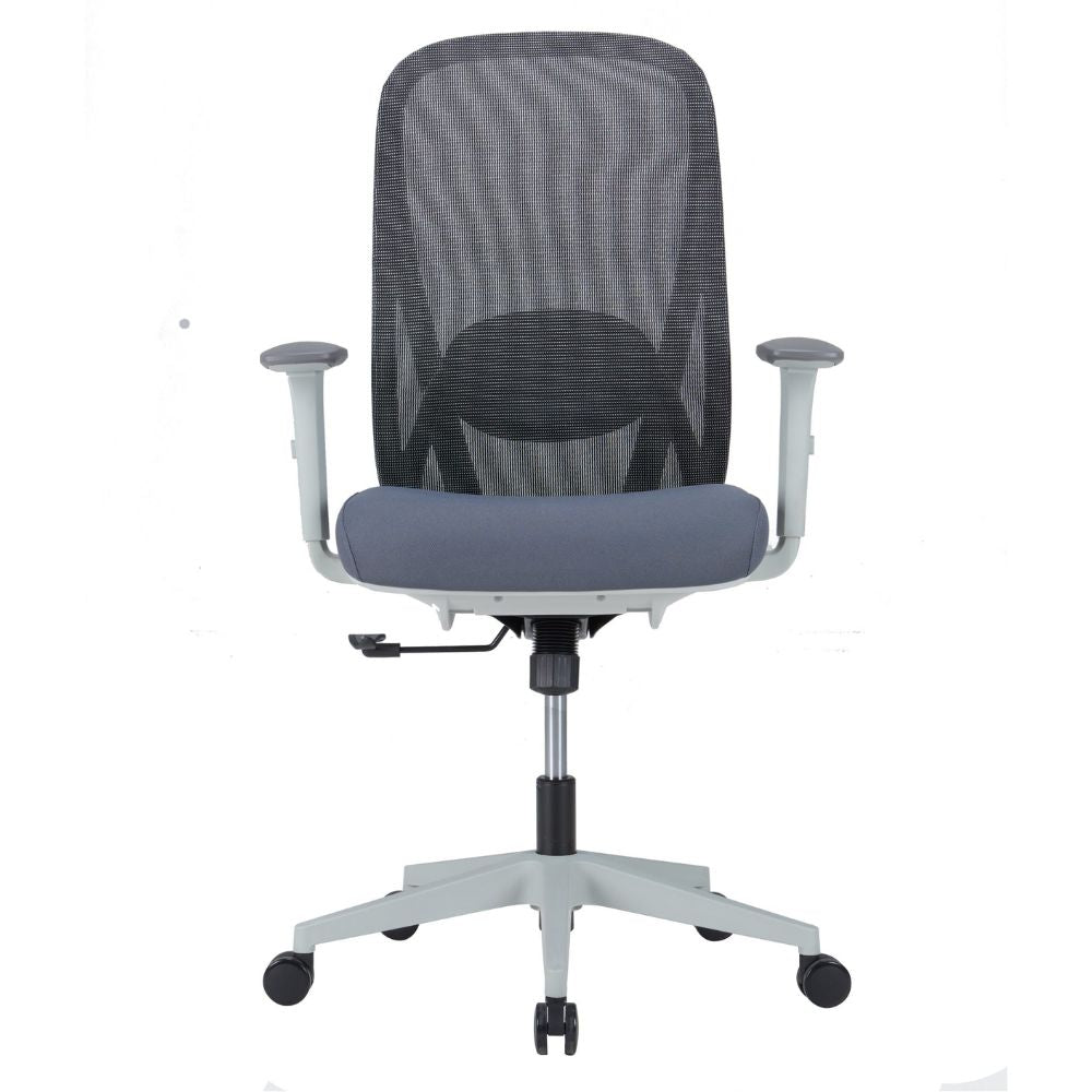 Ergonomic medium back office chair with adjustable lumbar support, grey plastic frame, adjustable PU-covered armrests, mesh back, and nylon caster base.