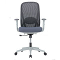 Ergonomic medium back office chair with adjustable lumbar support, grey plastic frame, adjustable PU-covered armrests, mesh back, and nylon caster base.