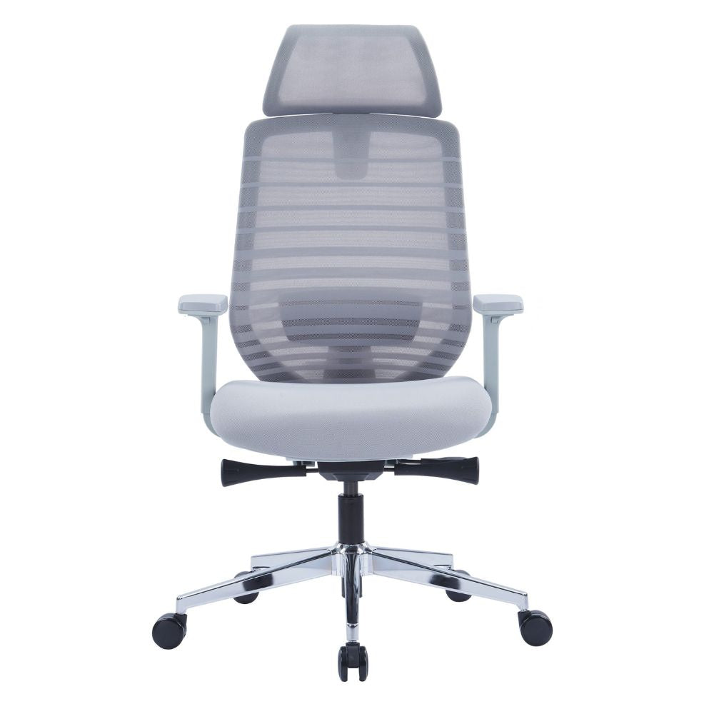 ESP2-005A ergonomic high back office chair with grey mesh, adjustable lumbar support, 2D PU armrests, cushioned seat, reclining function, and chrome base