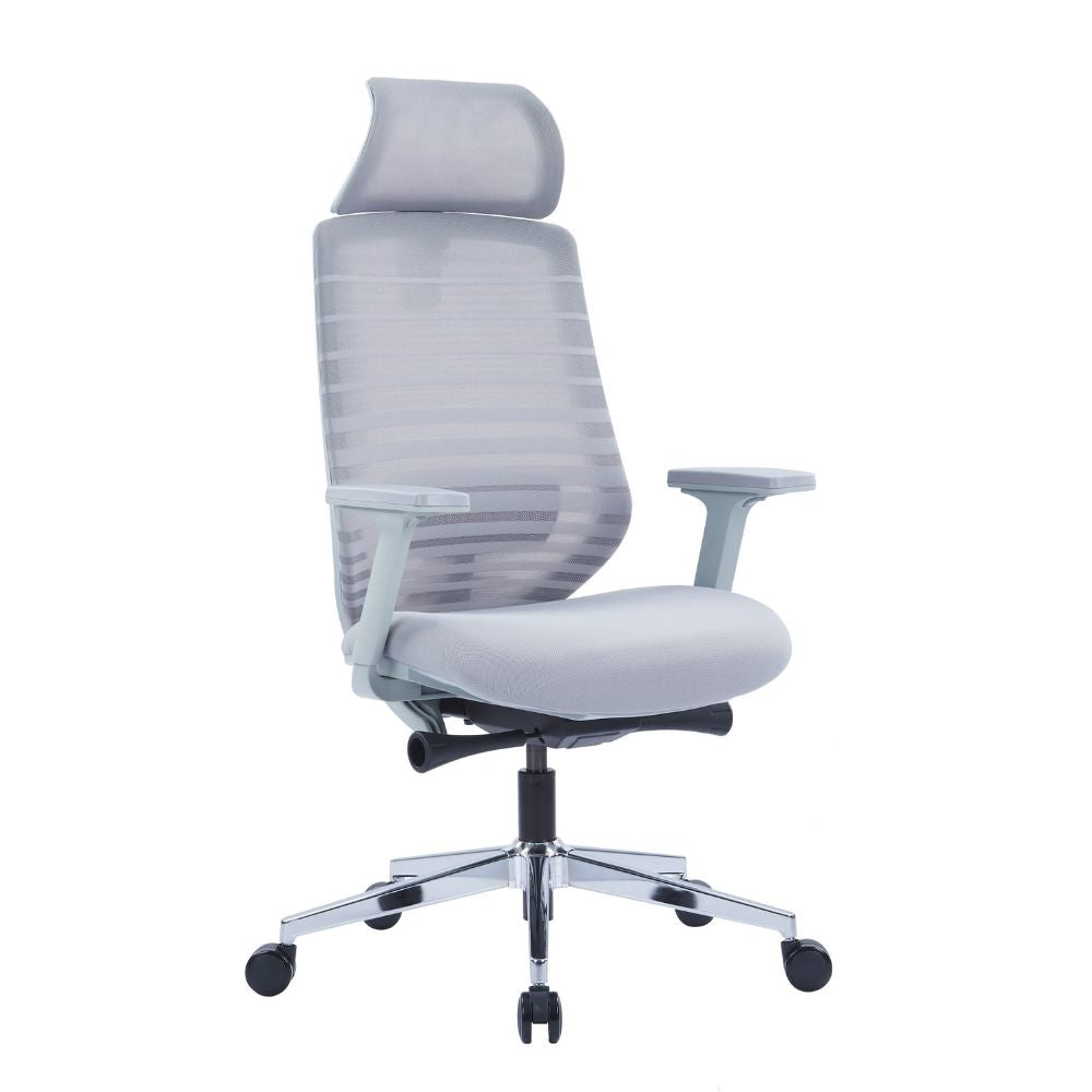 ESP2-005A ergonomic high back office chair with grey mesh, adjustable lumbar support, 2D PU armrests, cushioned seat, reclining function, and chrome base