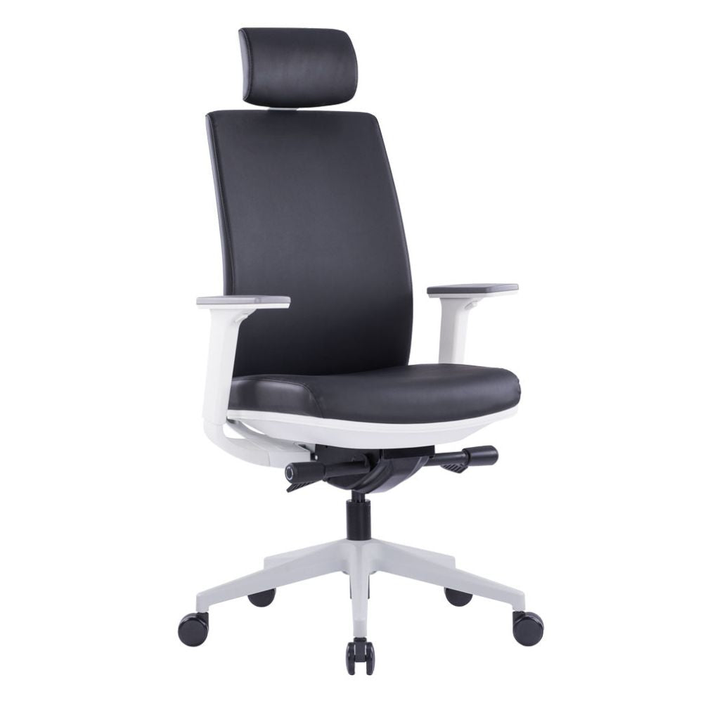 VIX-AG Ergonomic high back PU office chair with adjustable headrest, armrests, and grey nylon base with casters
