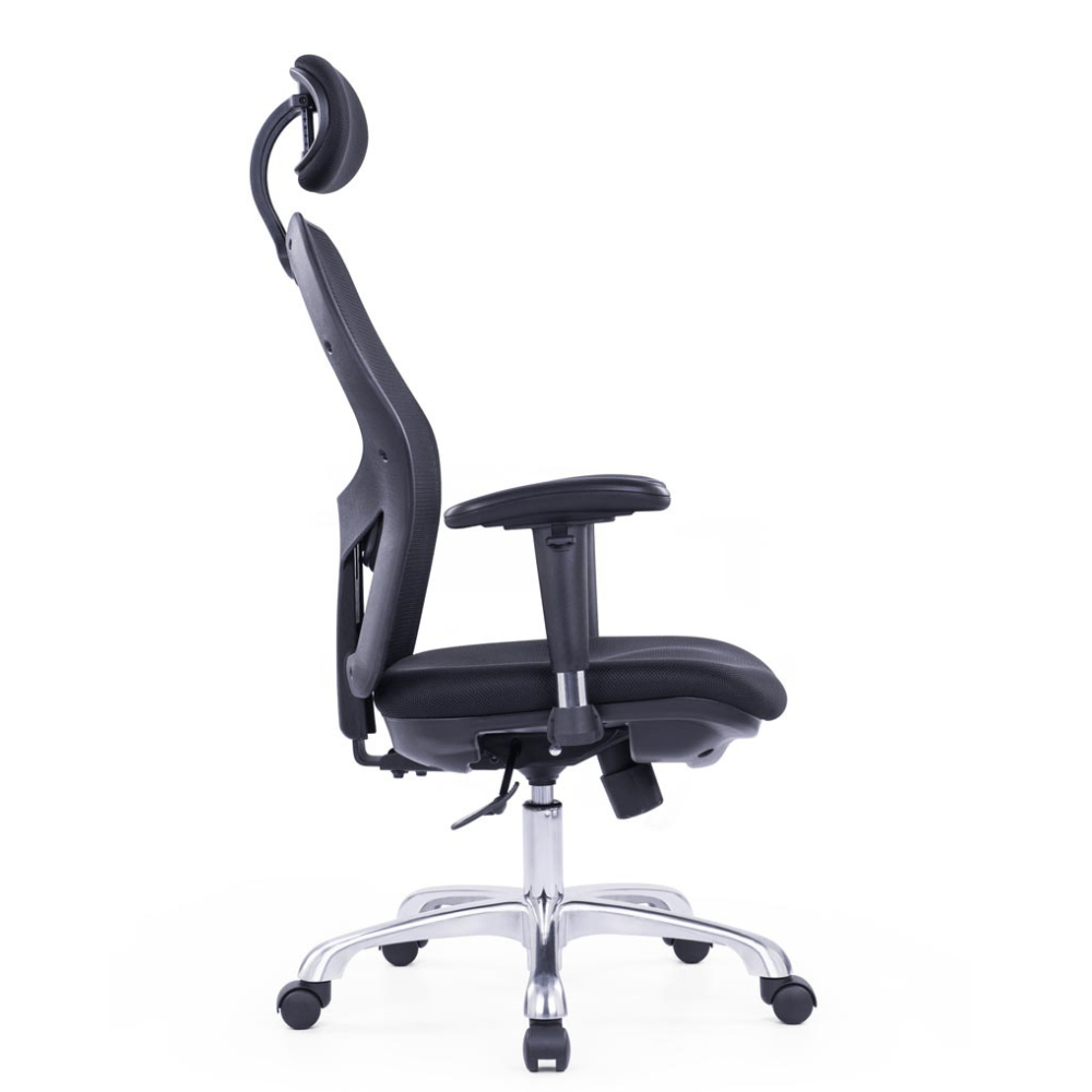 Arthur Executive Office Ergonomic Chair