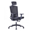 Nicole High Back Ergonomic Chair (Black) - Office Store Dubai
