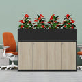 Planter Cabinet Black with Lockable Push Open Doors - Office Store Dubai